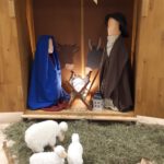 20251129_110510_resized